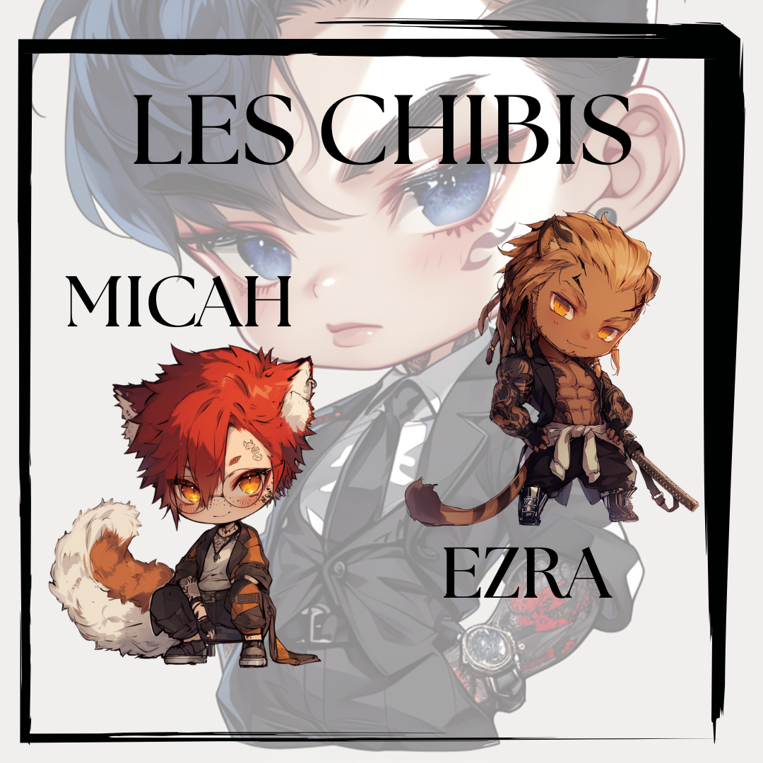 Anniversaire - "Le chibi" - Le Coussin