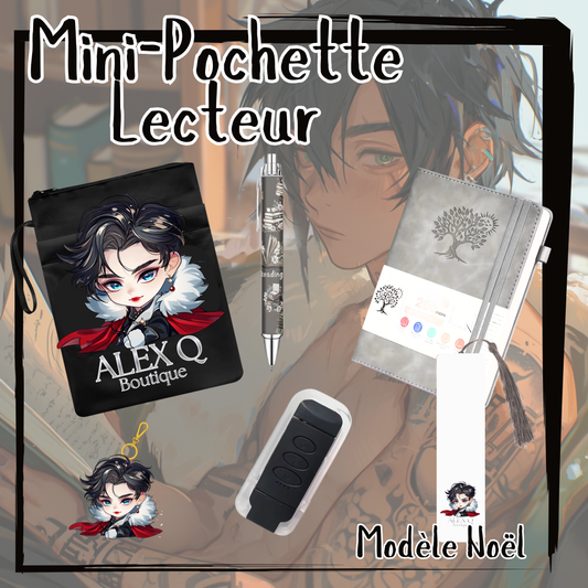 La Pochette Lecteur Modèle Noël