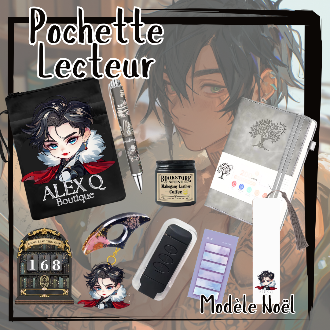 La Pochette Lecteur Modèle Noël
