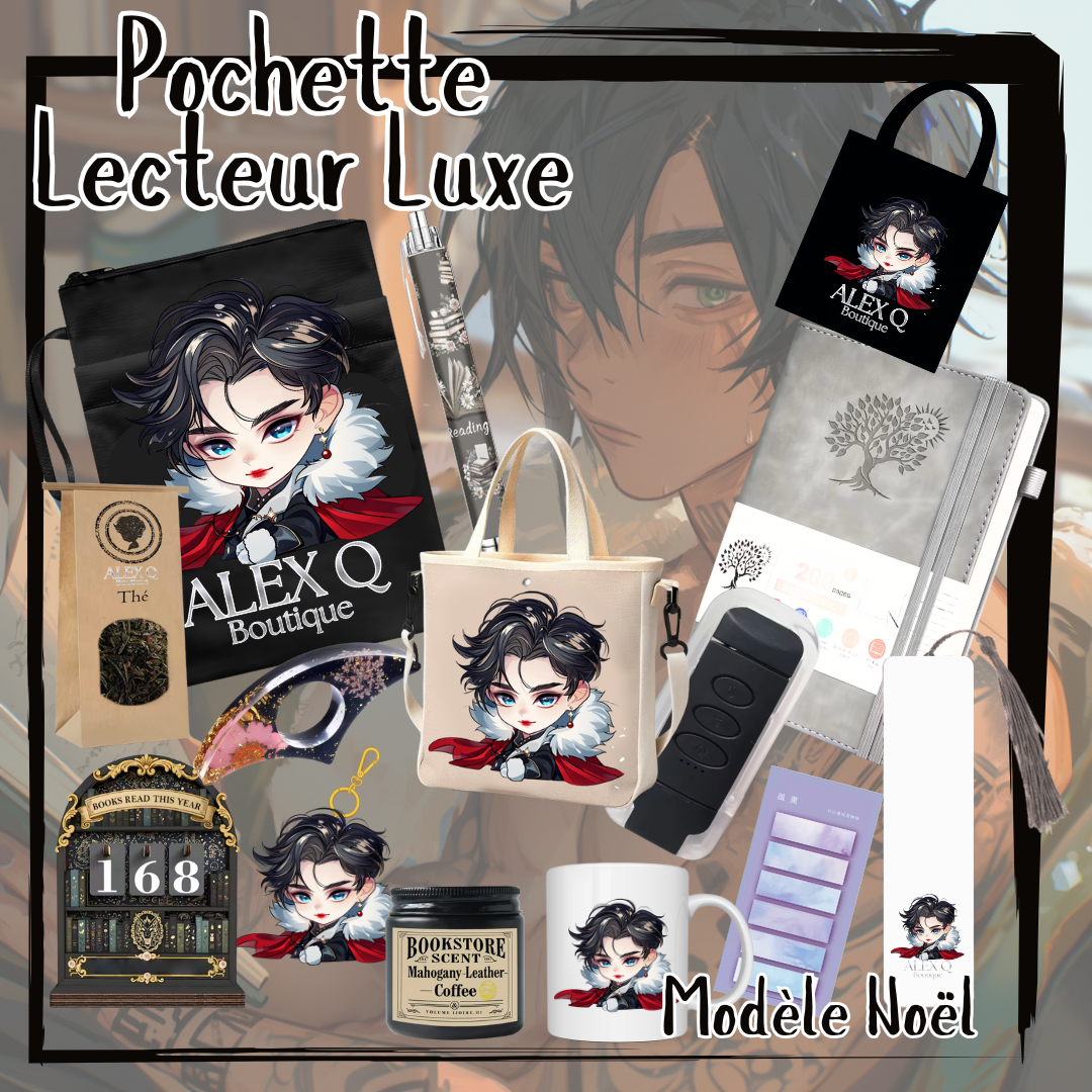 La Pochette Lecteur Modèle Noël