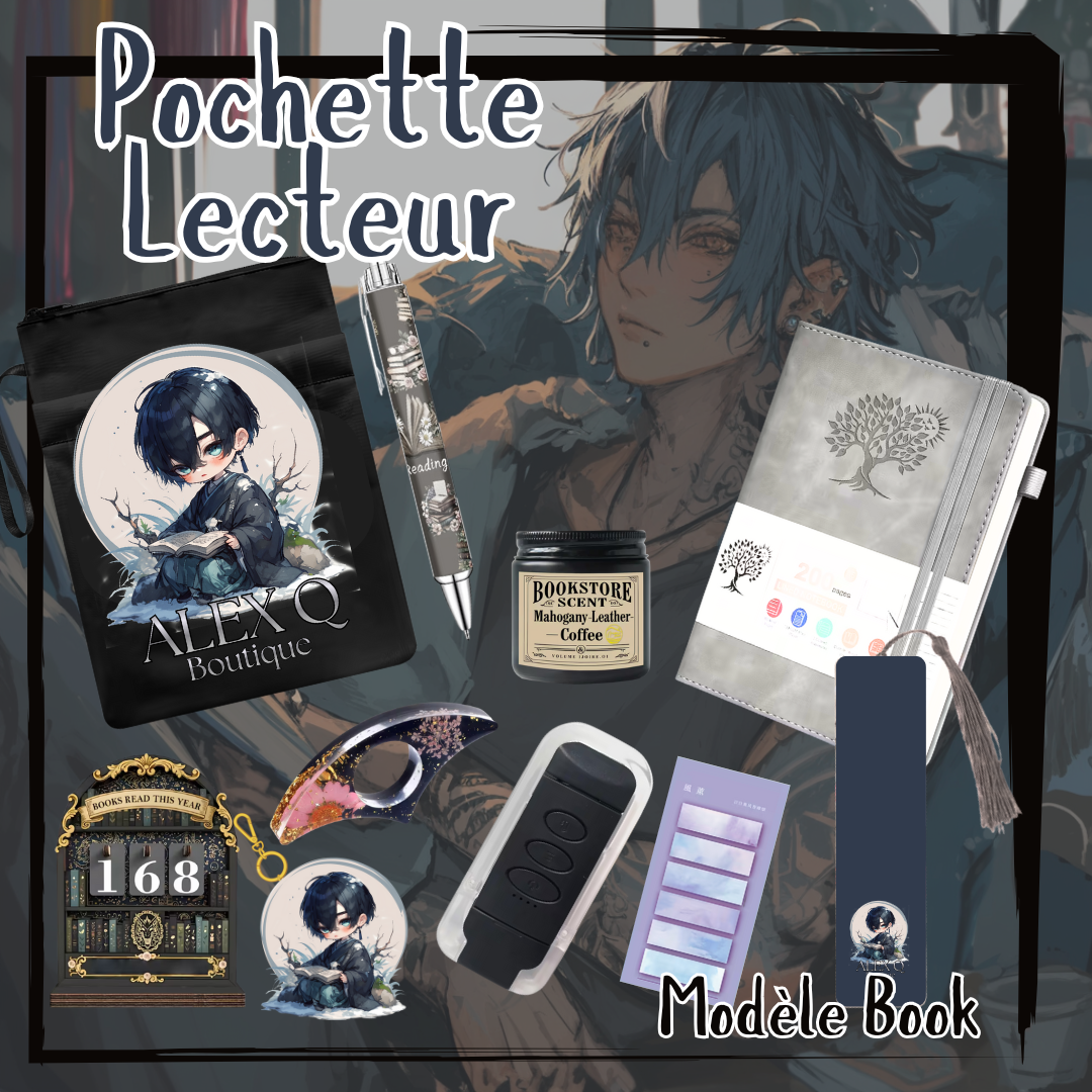 La Pochette Lecteur Modèle Book