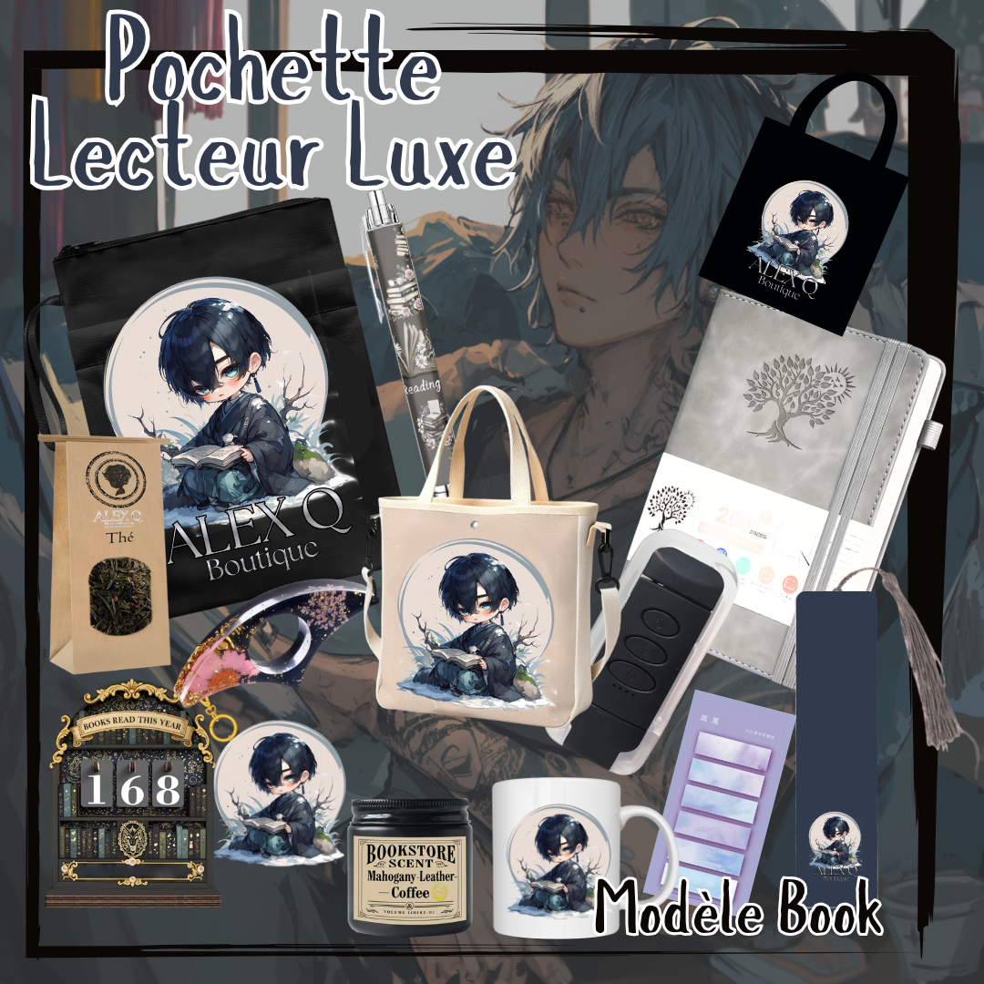 La Pochette Lecteur Modèle Book