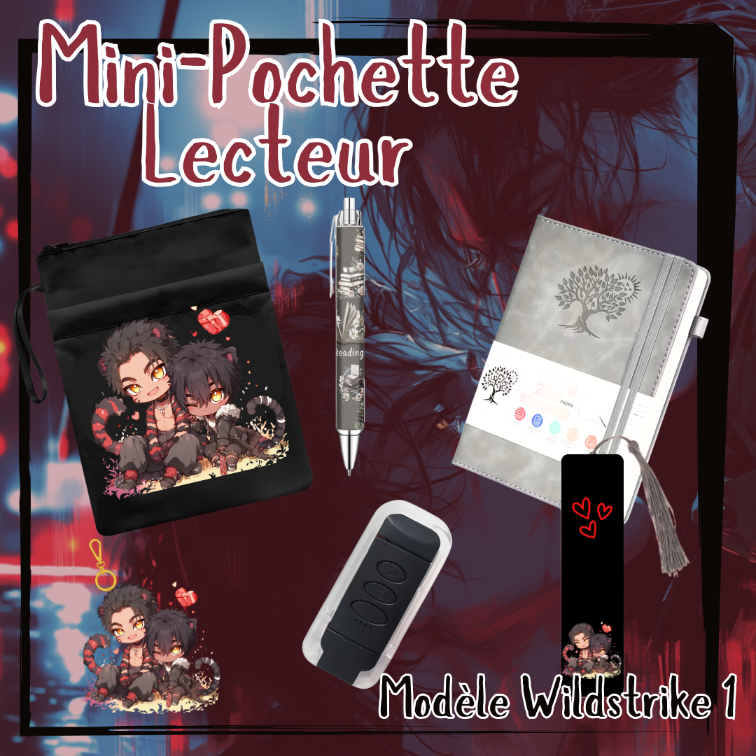 Saint-Valentin Collection: Les Pochettes Lecteurs Chibi